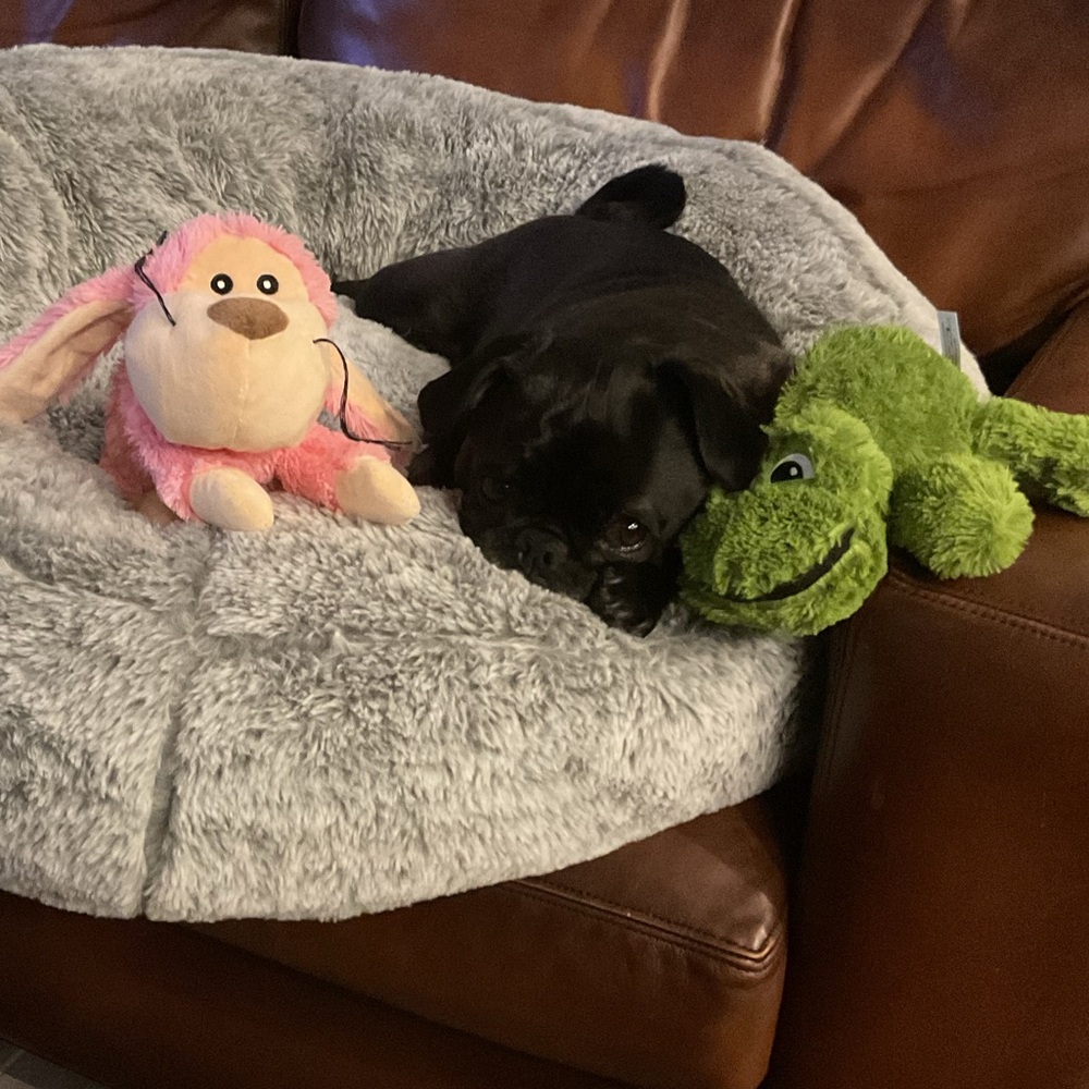 Posh Ambassador, Michele - Picture 3 of 11